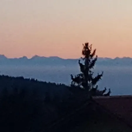 Mit Blick Ueber Den Bayrischen Wald Apartment Sankt Englmar