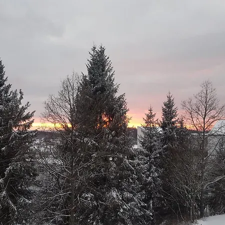 Mit Blick Ueber Den Bayrischen Wald * 상트엥글마